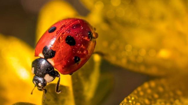 Oroscopo del giorno 22 agosto: sestile Nettuno-Urano, impasse per Bilancia (2^ parte).