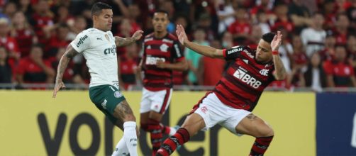 23&ordf; rodada ter&aacute; grande jogo entre Palmeiras e Flamengo (Cesar Greco/Palmeiras)