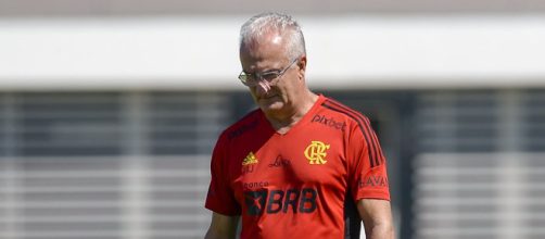 Dorival Junior faz grande trabalho no Flamengo (Marcelo Cortes/Flamengo)
