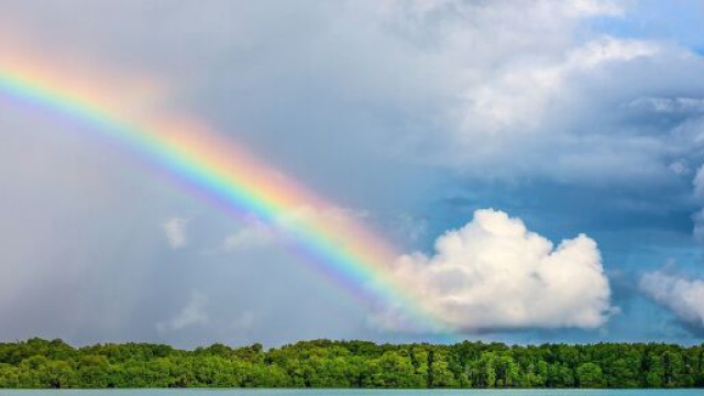 Oroscopo settimanale dal 22 al 28 agosto: Scorpione teso in amore