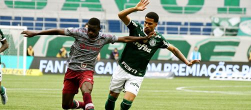 Palmeiras x Fluminense: duelo marca confronto de vice-l&iacute;der e l&iacute;der do campeonato (Mailson Santana/Fluminense))