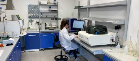 Pavia, si studia l'infertilità femminile con la ricostruzione in 4D di un ovaio di topo