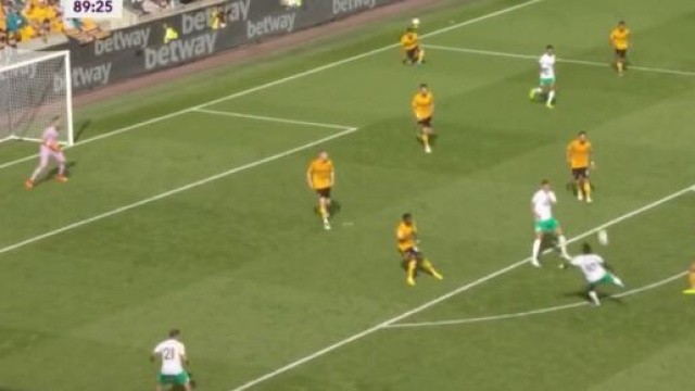 Saint-Maximin en feu avec Newcastle. (cr&eacute;dit Canal+)