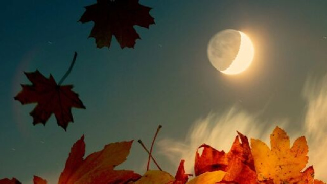 Oroscopo e classifica ottobre 2022 per l&rsquo;amore: segni di terra tra i favoriti.