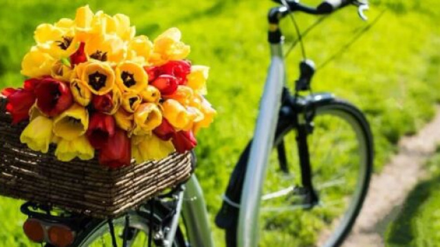 Oroscopo e classifica di venerd&igrave; 2 settembre: rapporti interpersonali interessanti per Acquario.