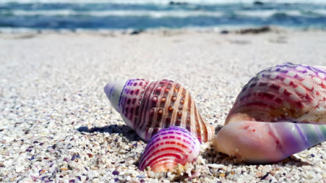 L'oroscopo e le pagelle del 5 agosto, colore e momento fortunato: Acquario 'voto 9'.