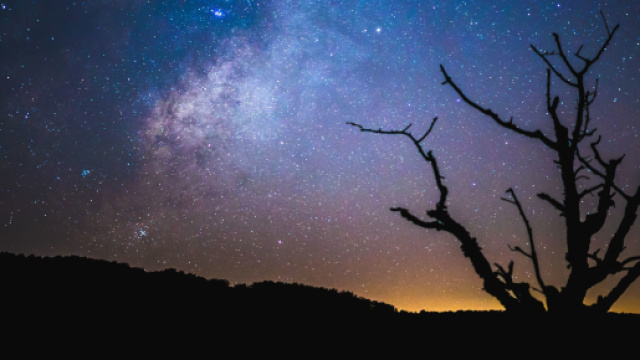 Previsioni astrologiche e classifica dell'8 agosto.