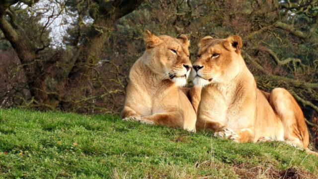 Oroscopo e classifica di marted&igrave; 9 agosto: Pesci disincantati, Leone dubbioso.