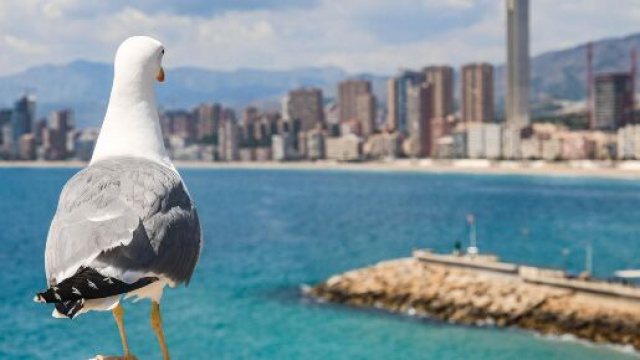 L'oroscopo del 2 settembre con le pagelle: giornata da nove per l'Ariete.