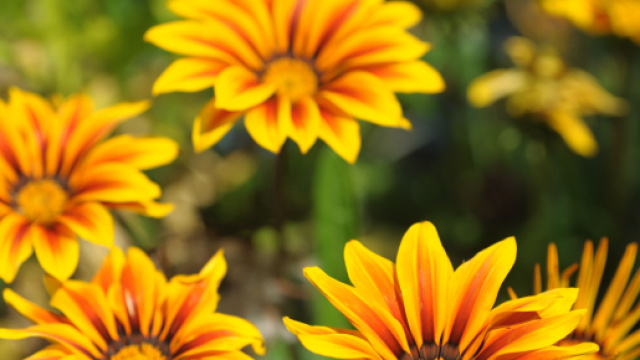 Oroscopo e classifica di mercoled&igrave; 14 settembre: Ariete e Cancro in ribasso.