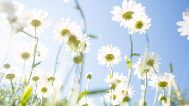 Oroscopo e classifica di venerd&igrave; 23 settembre: tempo libero per Acquario