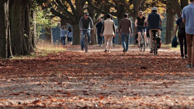 L'oroscopo del 23 settembre con le pagelle: giornata da otto per il Cancro.