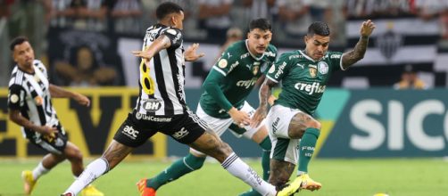 Palmeiras tem 92% de chance de conquistar o t&iacute;tulo, segundo o Globo Esporte (Cesar Greco/Palmeiras)