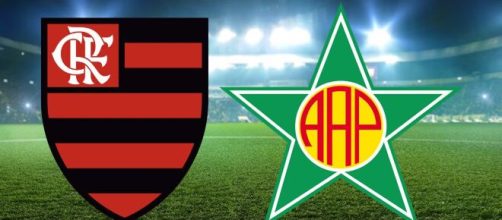 Onde assistir Flamengo x Portuguesa ao vivo (Arte/Eduardo Gouvea)