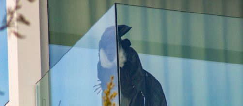 La bruja que la cantante Shakira puso en su terraza y dirigida hacia la casa de sus exsuegros (Telecinco)