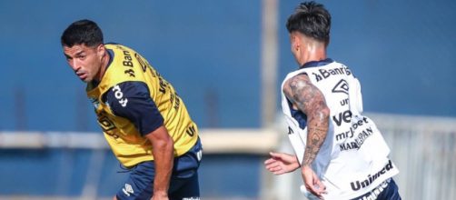 Su&aacute;rez deve estrear na pr&oacute;xima partida do Gr&ecirc;mio (Reprodu&ccedil;&atilde;o/Instagram/@gremio)