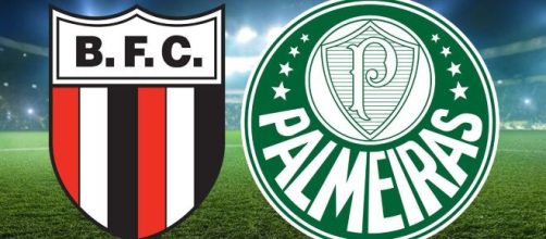 Onde assistir Botafogo x Palmeiras ao vivo (Arte/Eduardo Gouvea)