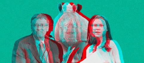 Ce n’est pas vrai : détention simulée de Greta, rhinocéros éteints, bétail manipulé par Bill Gates