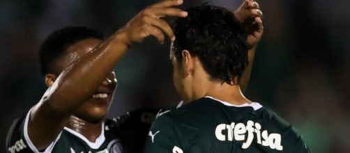 Palmeiras encara o S&atilde;o Paulo (Reprodu&ccedil;&atilde;o/Twitter/@Palmeiras)