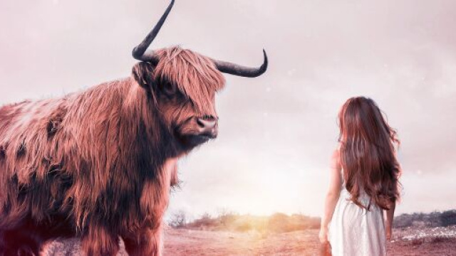 L'oroscopo del 24 gennaio per i single: giornata positiva per Toro