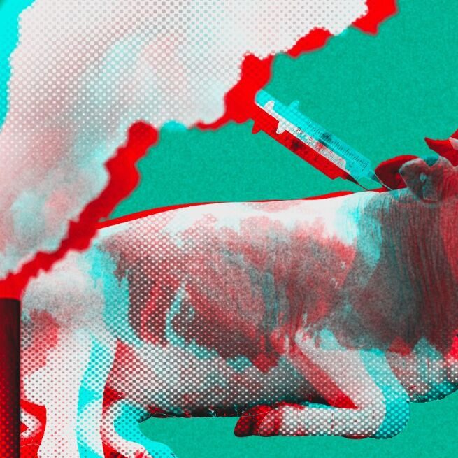 (Departamento de Arte/Blasting News)