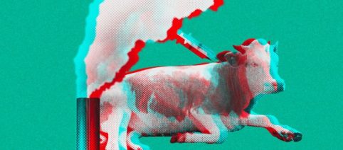 Não é verdade: de vacinas em alimentos à farsa de que as emissões de CO₂ causam o aquecimento global