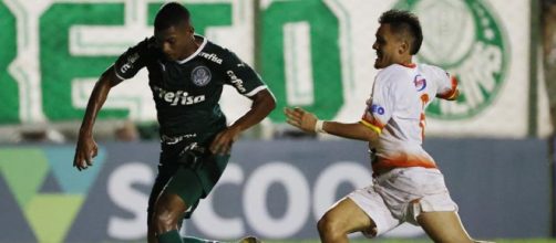 Palmeiras estreou bem (Reprodu&ccedil;&atilde;o/Twitter/@palmeiras)