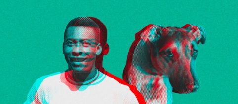 Não é verdade: de Fifa exibindo os pés de Pelé em museu ao abate de pets para salvar o clima