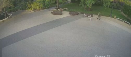 Diversos v&iacute;deos foram divulgados; propriedades foram invadidas em Israel (Reprodu&ccedil;&atilde;o/TV Globo)