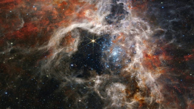 Previsioni astrologiche del 15 ottobre 2023: Cancro gentile, Leone offeso.