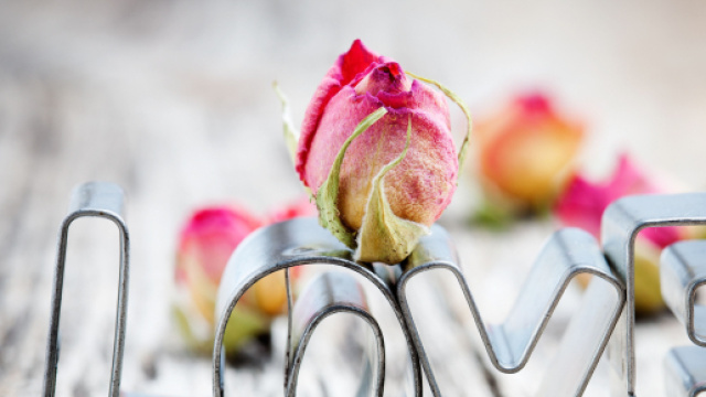 L'oroscopo e posizioni weekend 21 e 22 ottobre, amore: sentimenti positivi per Leone.