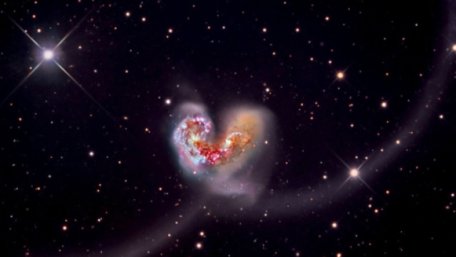 L'oroscopo e classifica settimana da 23 a 29 ottobre, amore: Venere favorevole a Cancro
