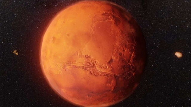 Oroscopo e classifica di Marte in Scorpione fino al 24 novembre: Capricorno instancabile.