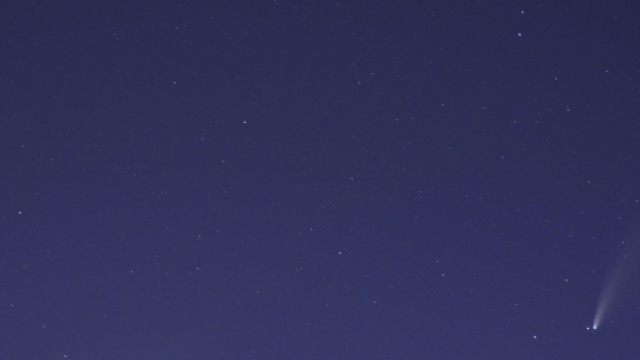 L'oroscopo dal 30 ottobre al 5 novembre: Leone spensierato, Cancro geloso.