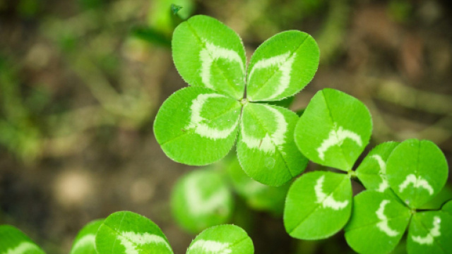 L'oroscopo e classifica di gioved&igrave; 26 ottobre, fortuna: Leone al top.