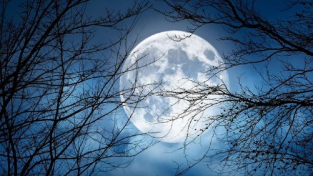 Oroscopo e classifica del weekend 28-29 ottobre: il Plenilunio in Toro premia i Pesci.