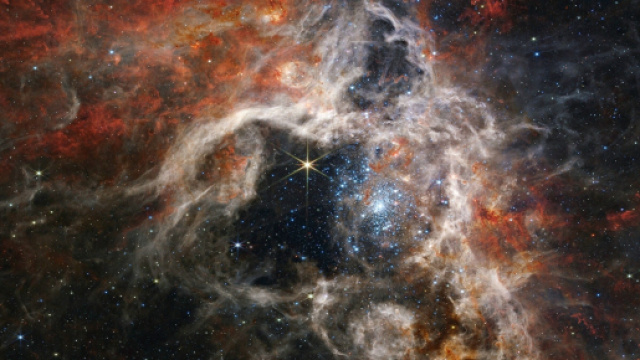 Previsioni astrologiche del 4 ottobre: Acquario romantico, Gemelli tesi.