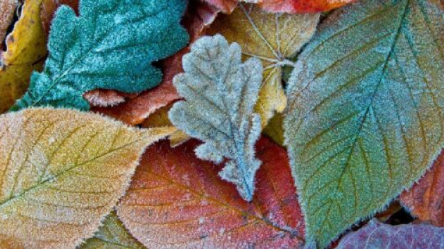 Oroscopo e classifica settimana dal 6 al 12 novembre.