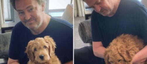 Matthew Perry tuvo un perro llamado Alfred (Captura de Instagram)