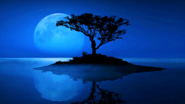 L'oroscopo del giorno 16 novembre: Luna in Capricorno, periodo vincente per Pesci (2^ met&agrave;)