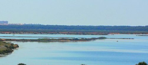 El cad&aacute;ver estaba flotando muy cerca del centro de protecci&oacute;n animal de la zona (WikimediaCommons)
