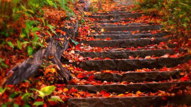 Oroscopo del 15 novembre per tutti i segni.