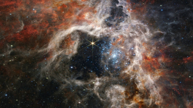 Previsioni astrologiche e classifica del 15 novembre: Gemelli concentrati, Toro nervoso.