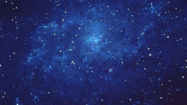 Oroscopo 25 e 26/11: un incontro positivo per Leone.