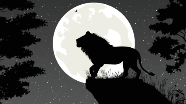 L'oroscopo di domani 1&deg; dicembre: Luna in Leone, Cancro tenero (prima tranche).