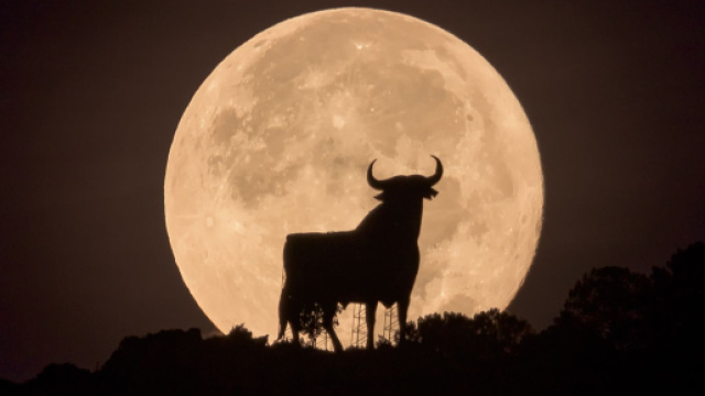 L'oroscopo di domani 22 dicembre e classifica: Luna in Toro, Leone fortunato (1&ordf; parte).