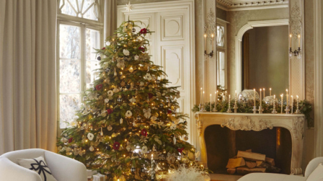 L'oroscopo di domani 23 dicembre: Leone intraprendente, Ariete fiducioso (1^ tranche).