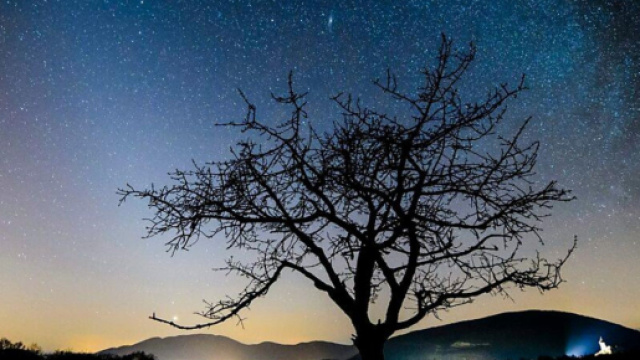 Previsioni astrologiche e classifica del 20 dicembre: Cancro gioioso, Pesci innamorati.