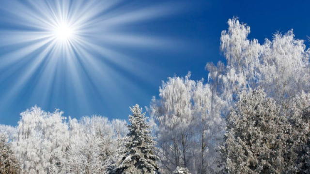 L'oroscopo della settimana sino al 17 dicembre: Capricorno 'voto 10' (2^ tranche)