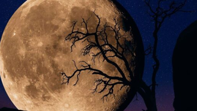 Previsioni zodiacali e classifica del 1&deg; gennaio: Sagittario severo, Pesci empatici.